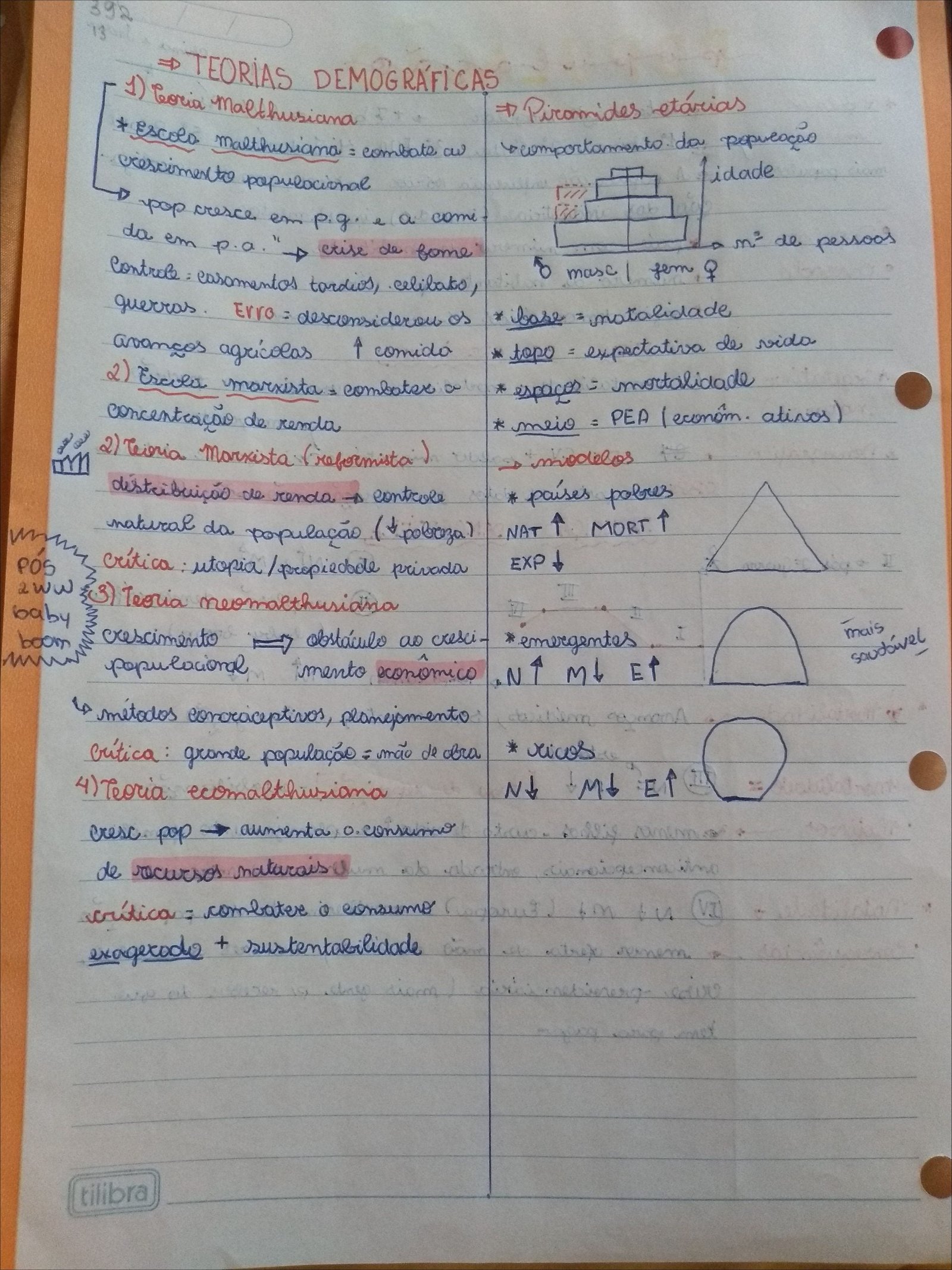 Mapa mental com TEORÍAS DEMOGRÁFICAS no centro, ramificando-se para Coria maethusiana e Piromides etárias