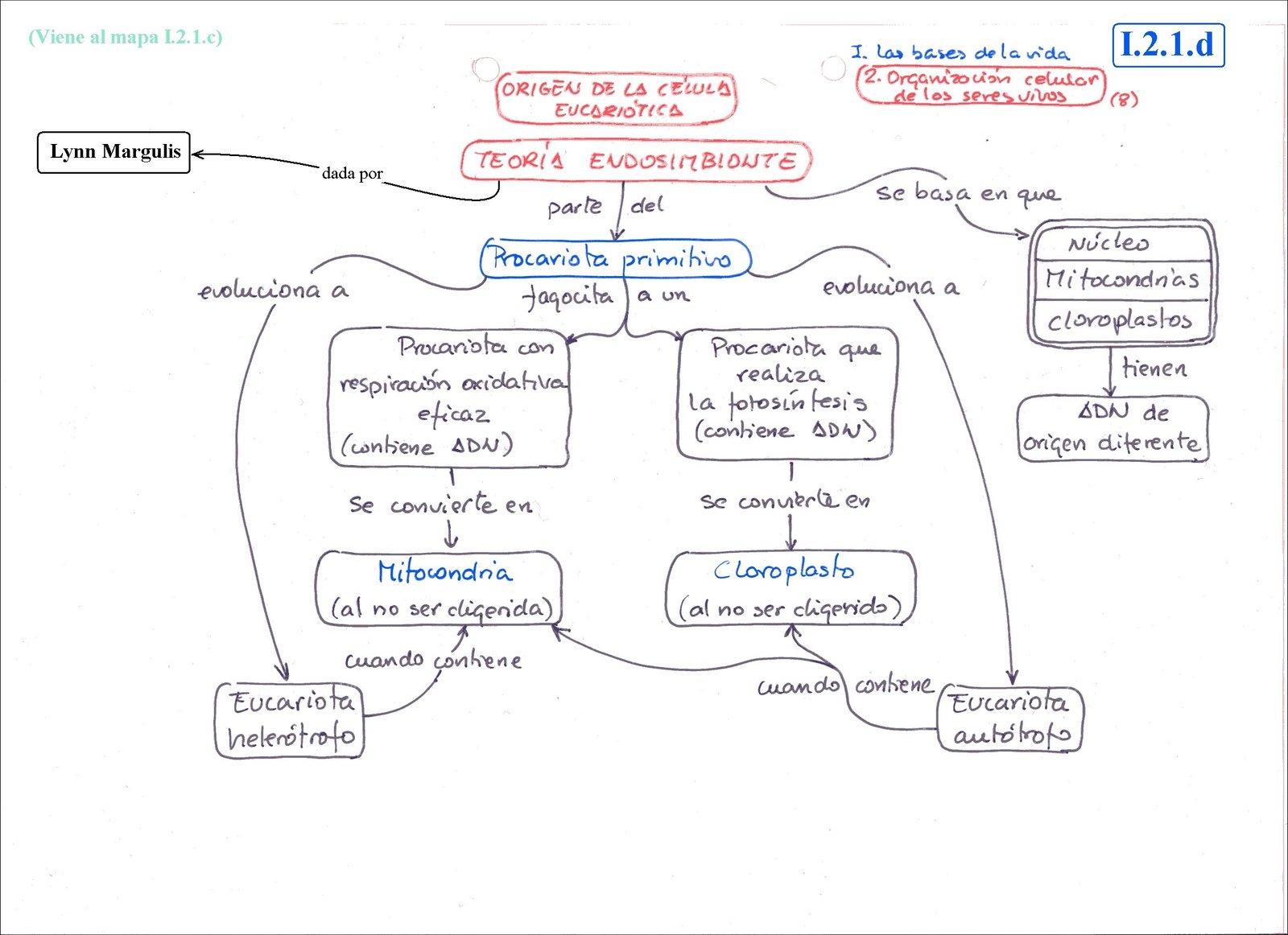 Mapa mental com Viene al mapa I21c, I21d, I Las bases de la vida, ramificando-se para 2 Organization celular, ORIGEN DE LA CELULY