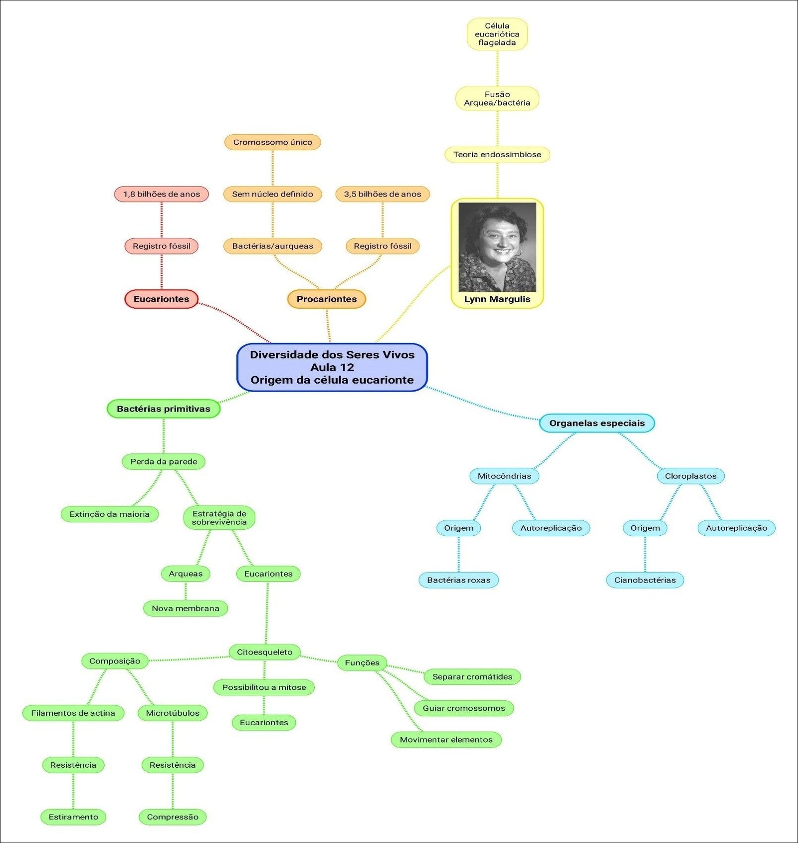 Mapa mental com Teoria endossimbiose no centro, ramificando-se para Origem eucariotica e Lynn Margulis