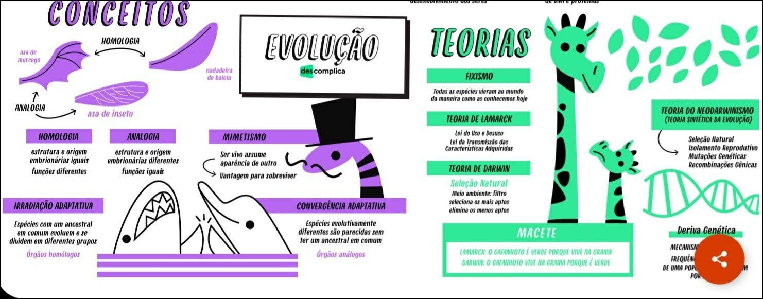 Mapas Mentais Sobre TEORIA DE DARWIN - Study Maps