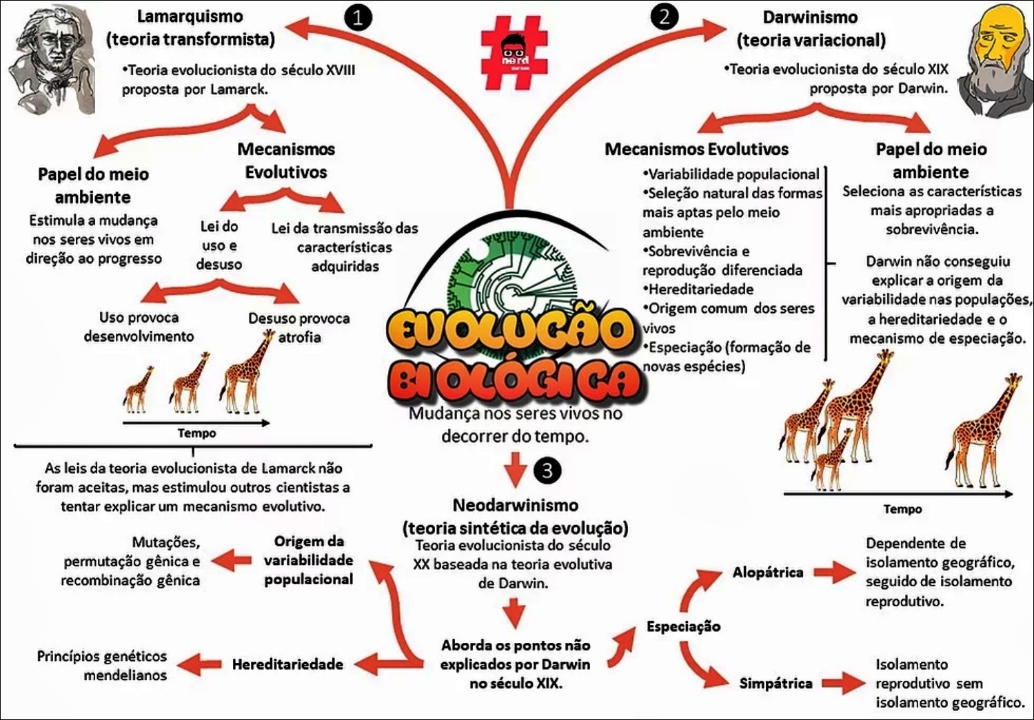 Mapa mental com Darwinismo no centro, ramificando-se para Lamarquismo e Teoria Transformista