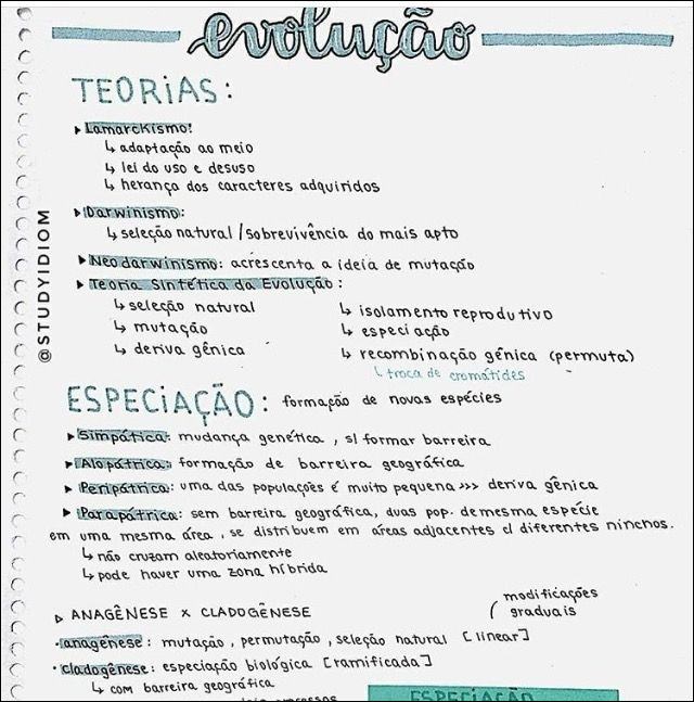 Mapas Mentais Sobre TEORIA DA EVOLUÇÃO - Study Maps