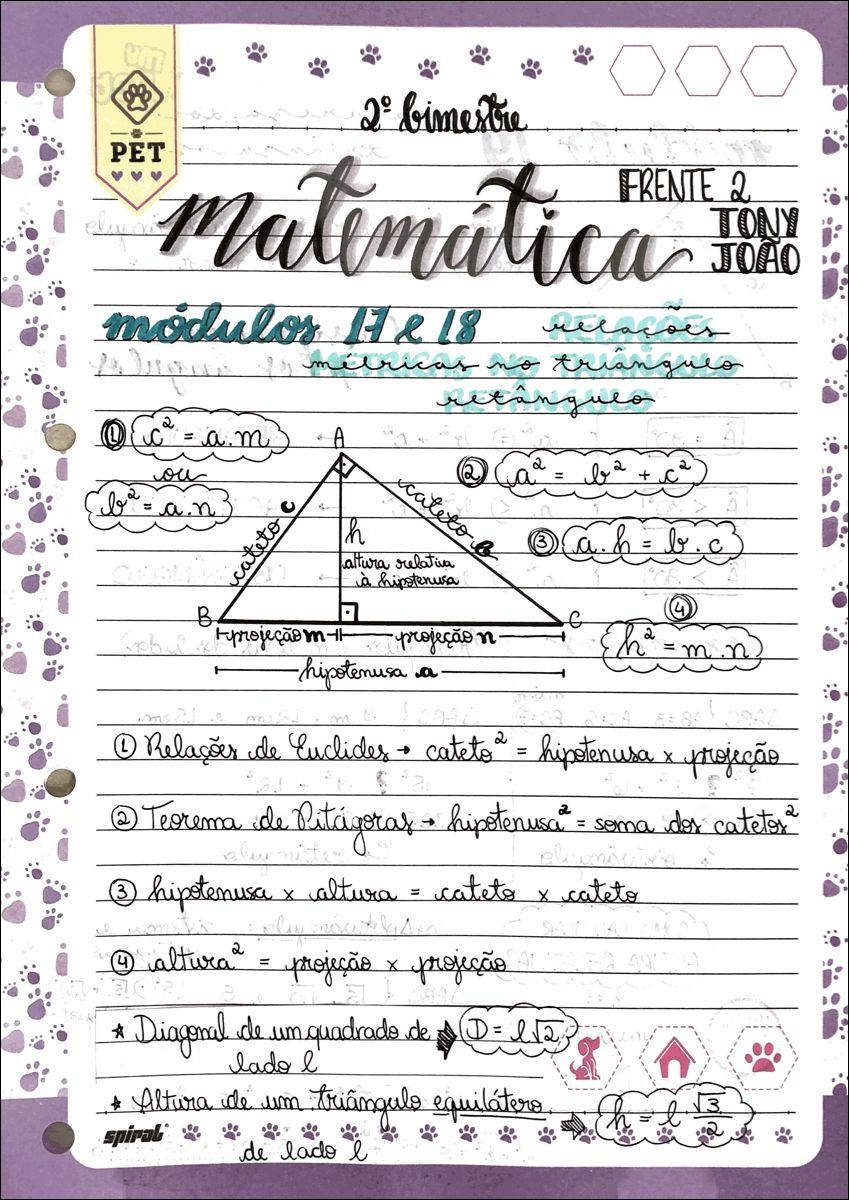 Trilha Do Teorema de Pitagoras, PDF, Triângulo