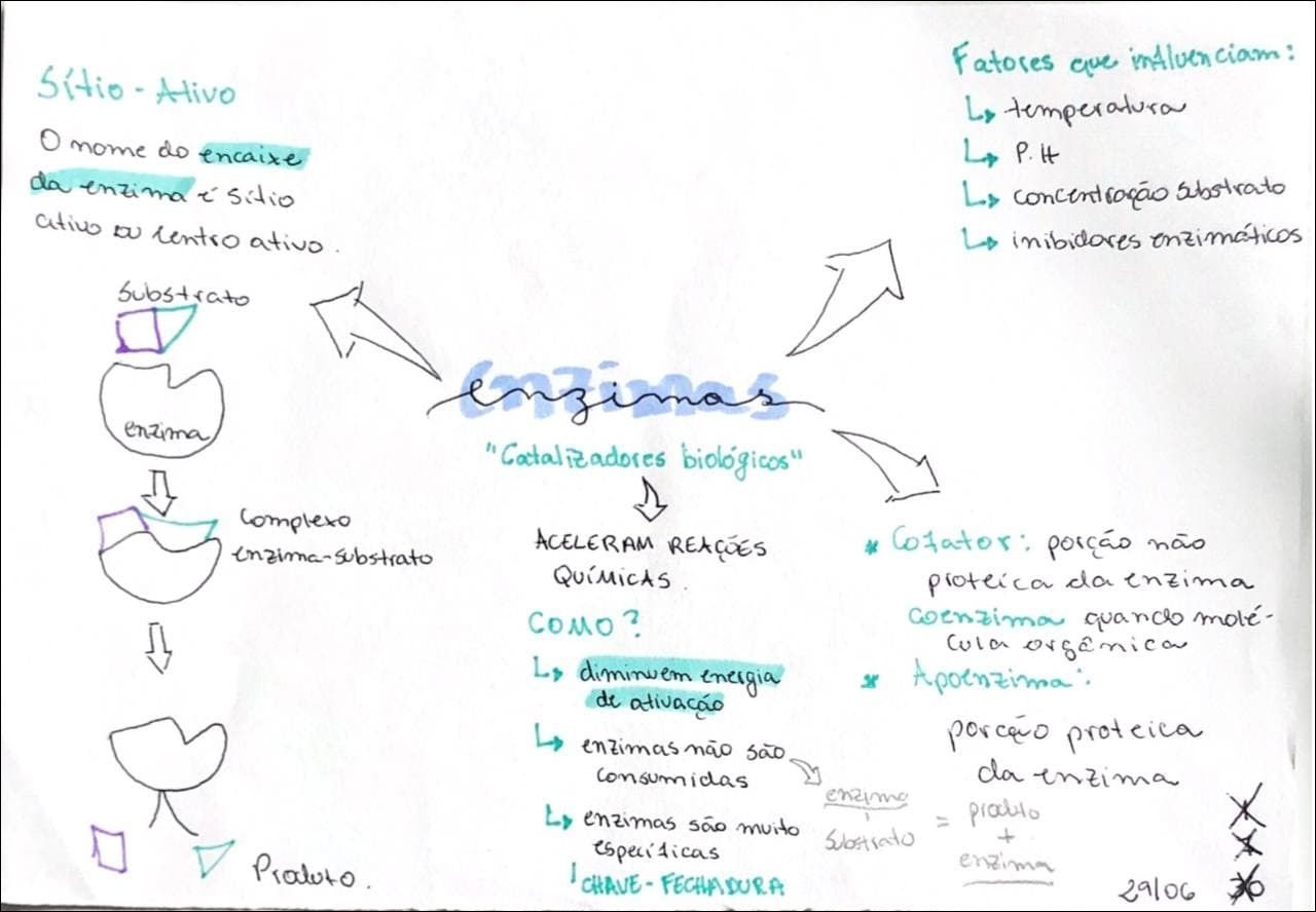 Mapa mental com Fatoses que intluen ciam no centro, ramificando-se para SitioAlivo e Lo temperatura