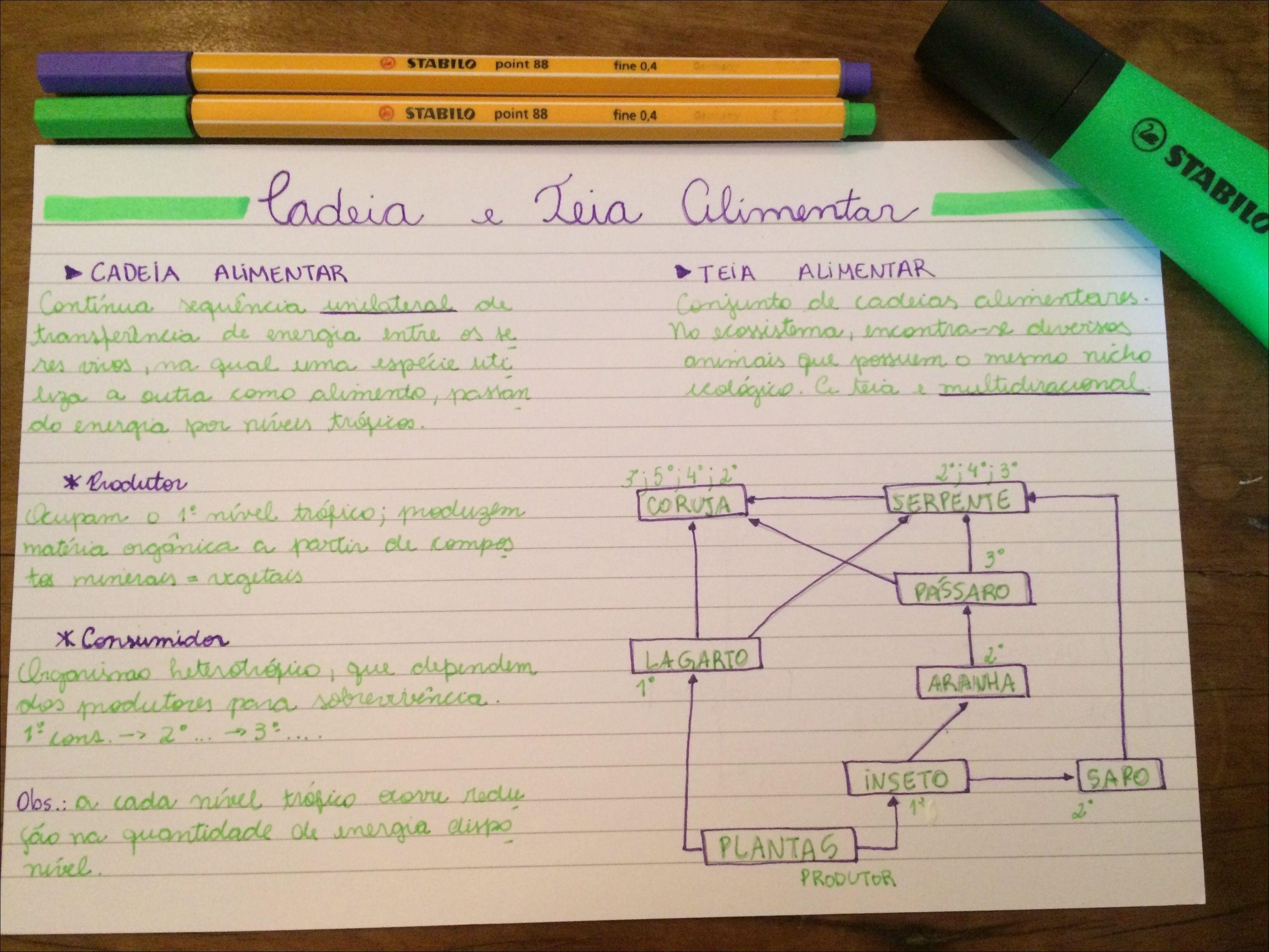 Mapa Mental Teia Alimentar BRAINCP