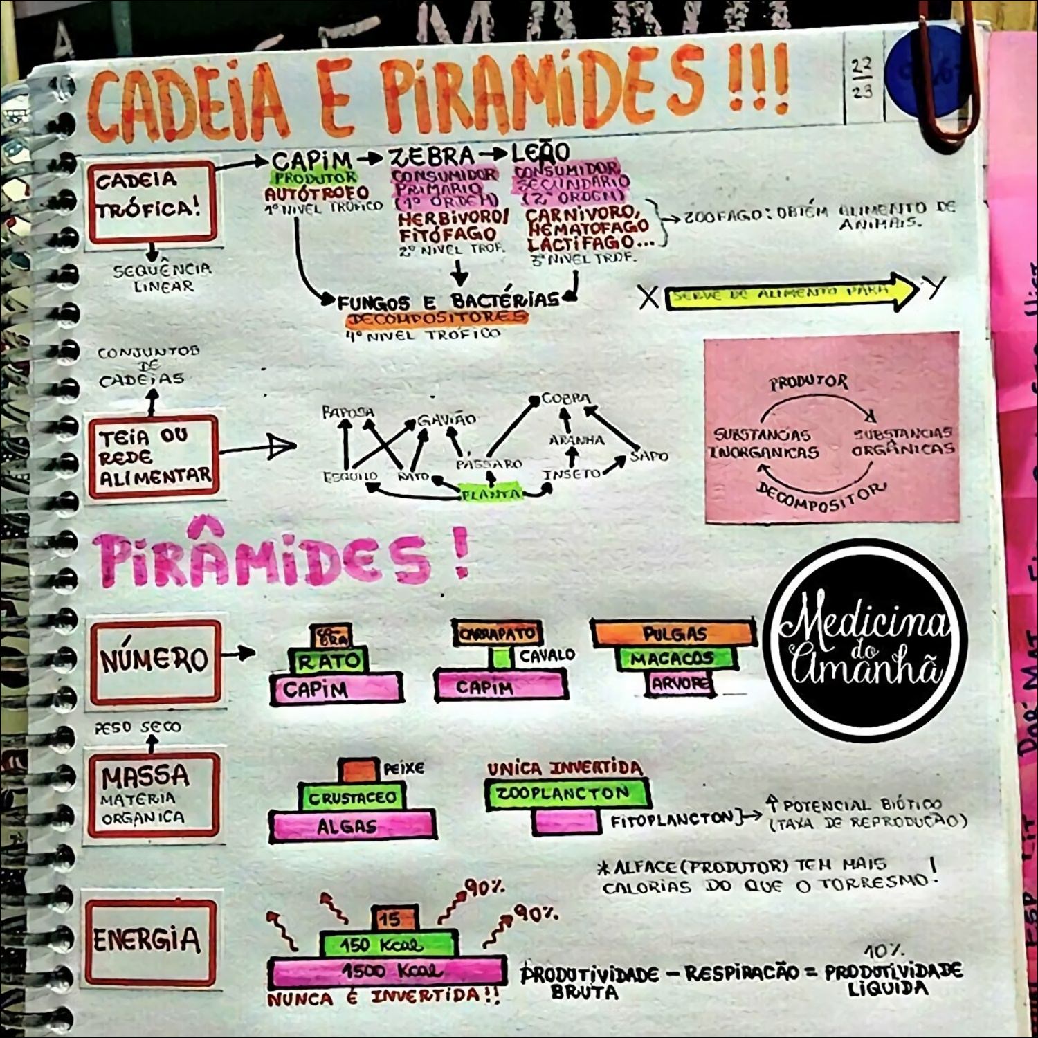 Cadeias Alimentares e Tróficas