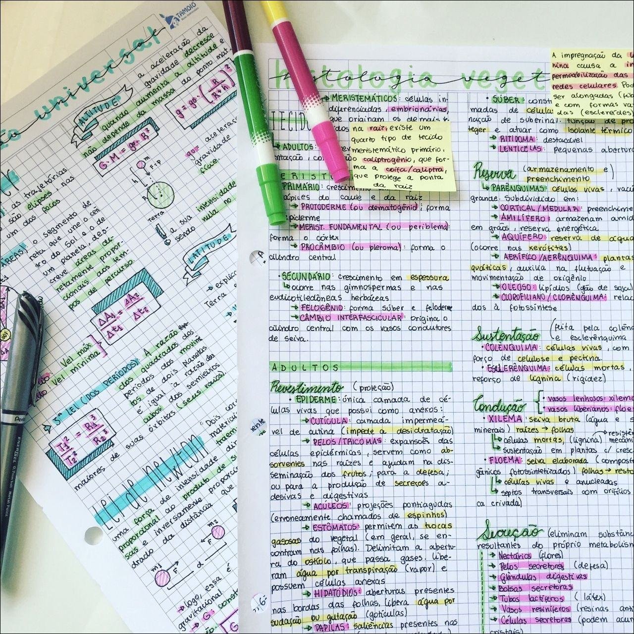 Características dos tecidos vegetais