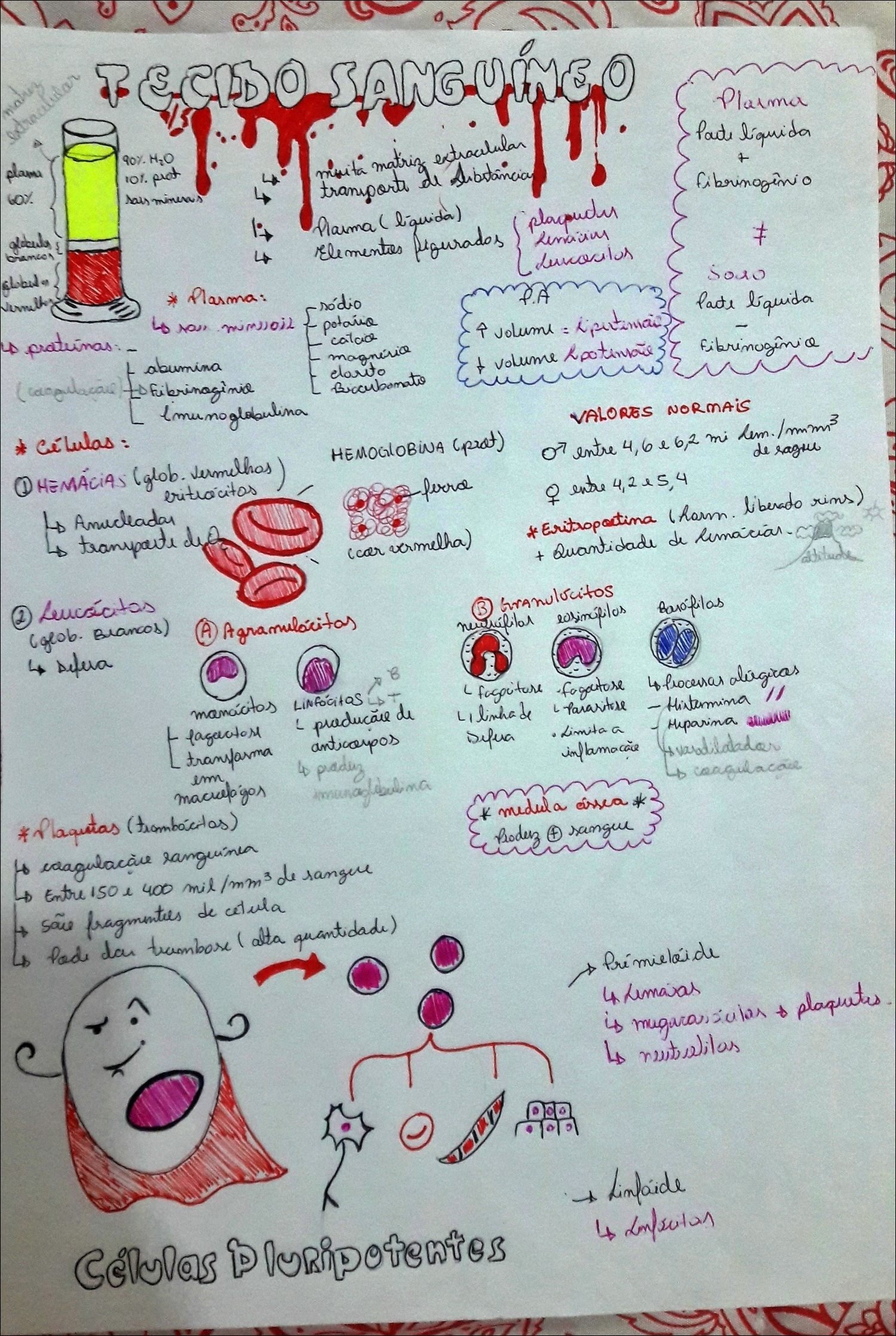 Mapa mental com TECIDO SANGUÍNEO no centro, ramificando-se para VALORES NORMAIS e ELEMENTOS FIGURADOS