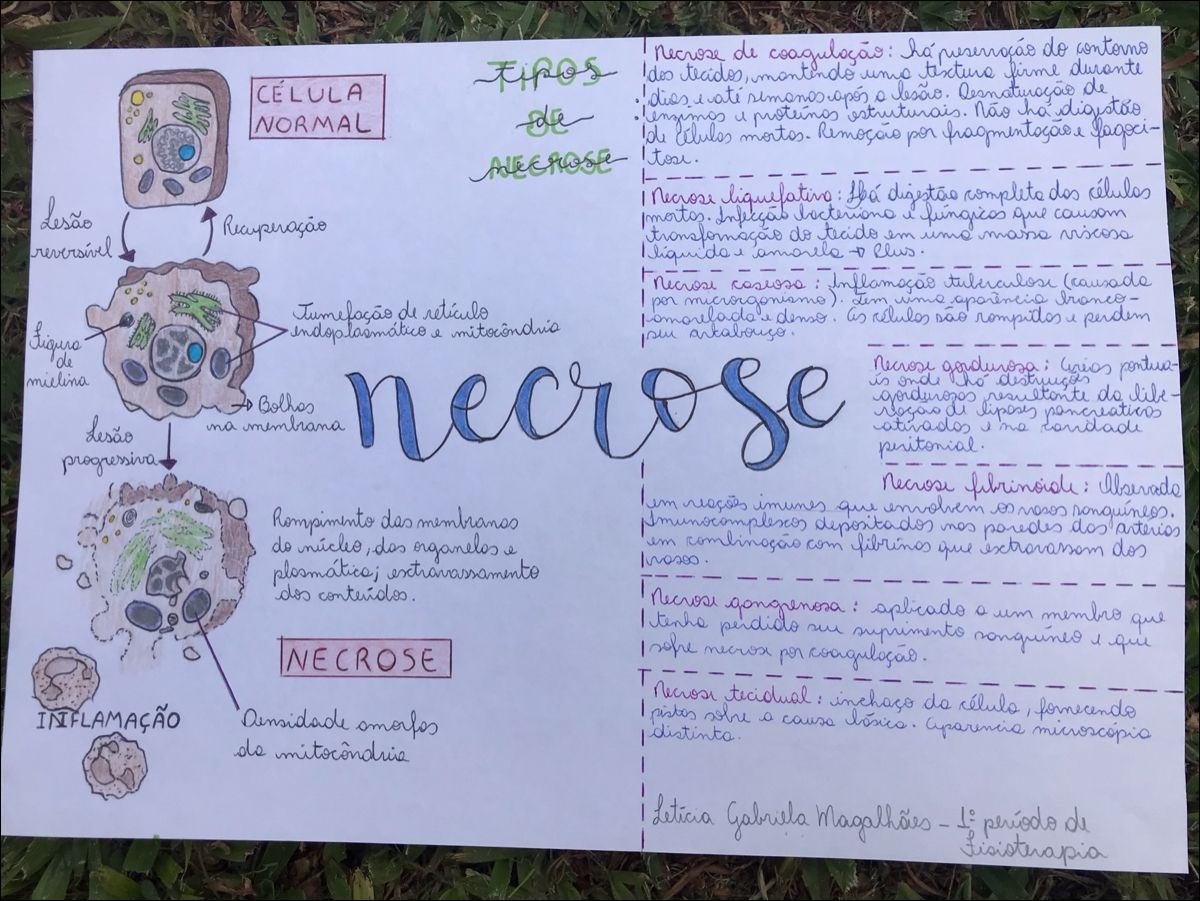 Mapa mental com palavra CÉLULA no centro, ramificando-se para necrose e tecidos