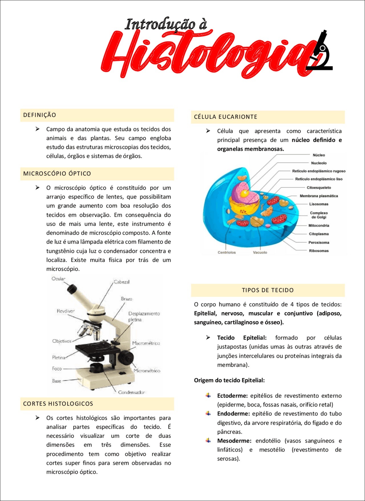 Mapas Mentais Sobre Histologia Study Maps Vrogue Co