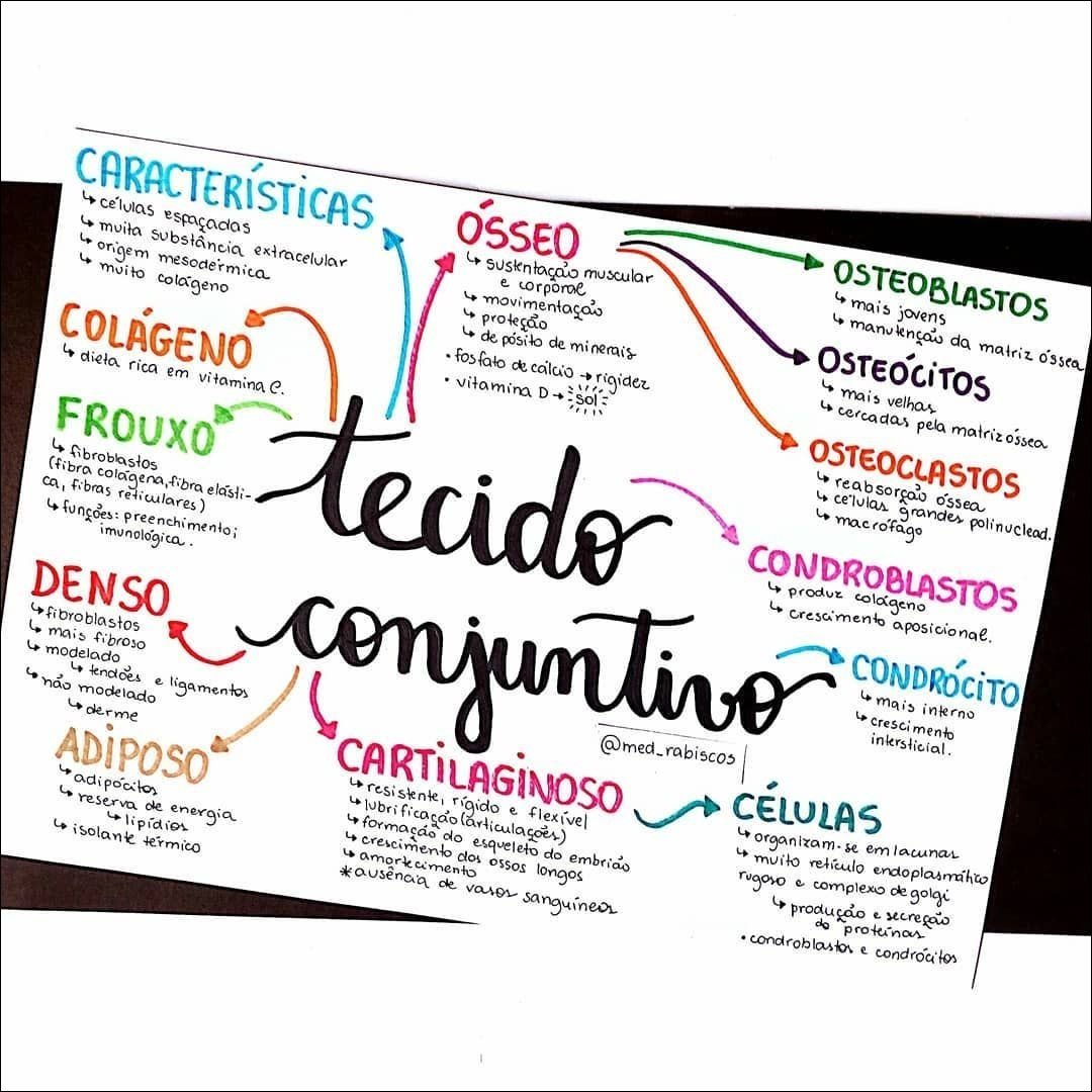 Mapa mental do tecido ósseo, com ramificações para características, osteoblastos e osteócitos