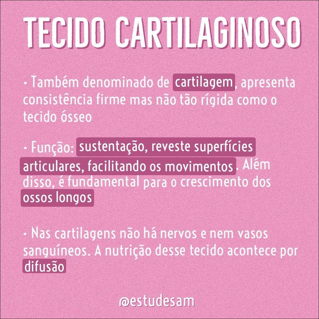 Mapas Mentais Sobre Tecido Cartilaginoso Study Maps