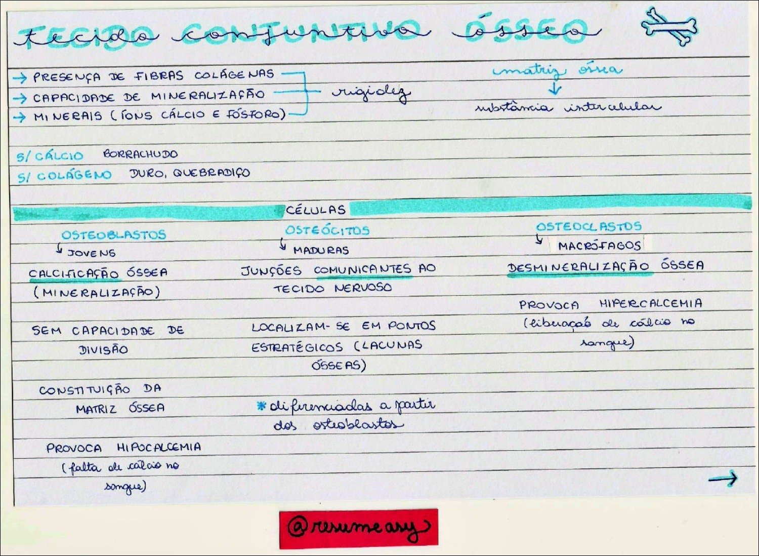 Mapa mental com a palavra FECIBO CONTUNANO هعهمة no centro, ramificando-se para PRESENÇA DE FIBRAS COLÁGE NAS e MATRIZ OSSEA