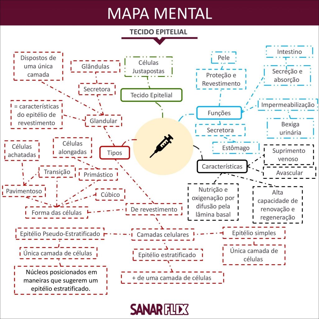 Mapas Mentais Sobre Tecido Epitelial Study Maps