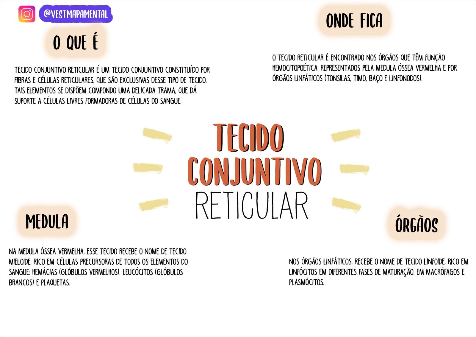 Mapa mental com Tecido Conjuntivo Reticular no centro, ramificando-se para Órgãos, Fibras e Células Reticulares