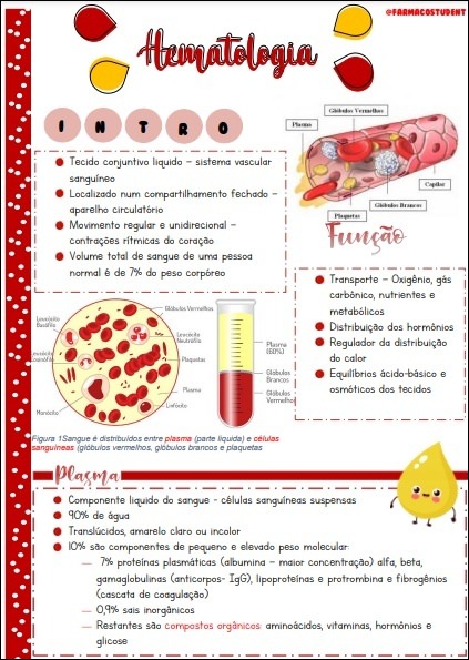 Mapas Mentais Sobre HEMATOLOGIA Study Maps