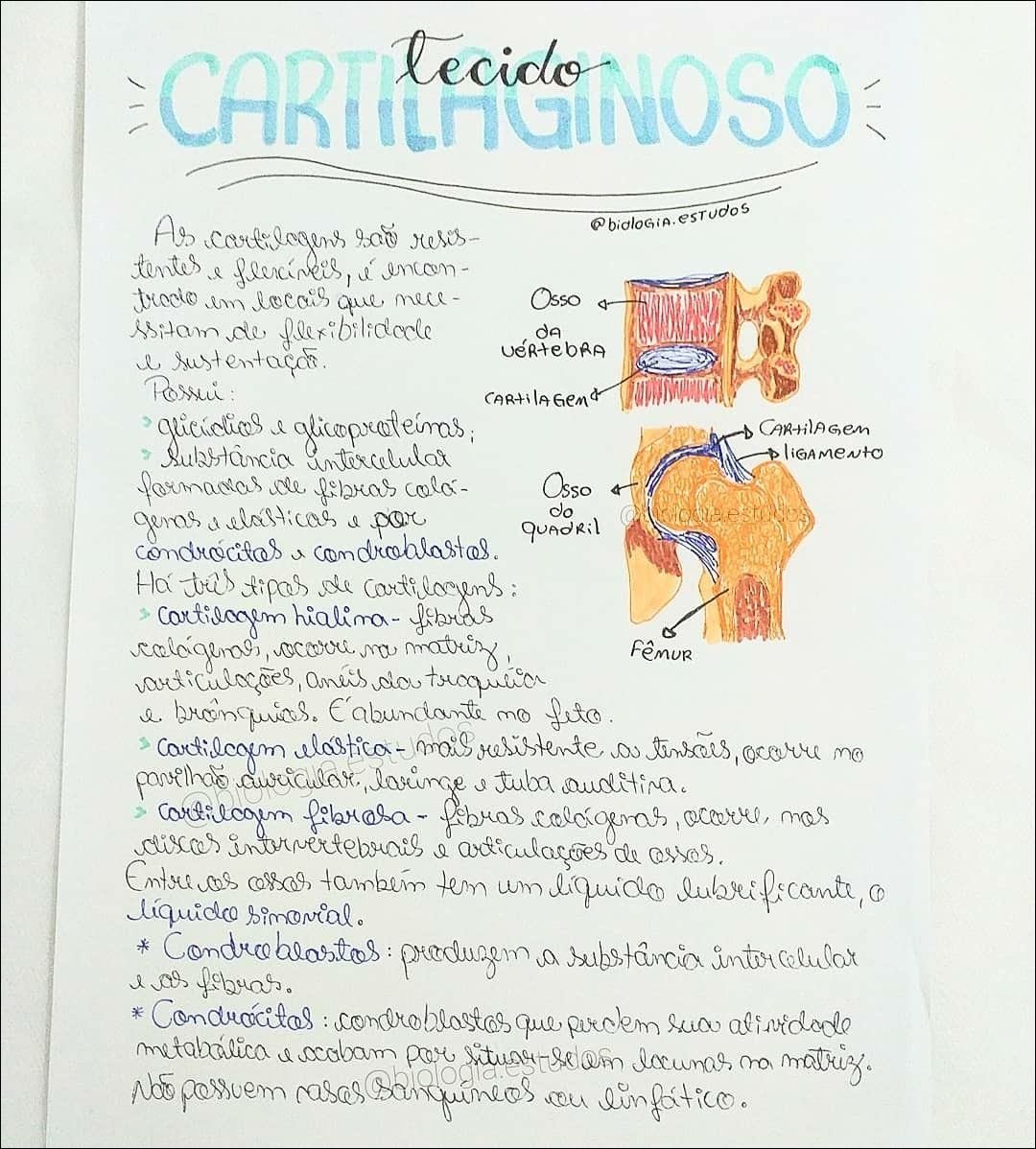 Mapa mental com tecido no centro, ramificando-se para CARTIERGINOSO e tentes trado As cartilogens l flexineis
