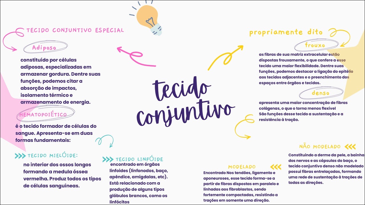 Mapas Mentais Sobre Tecido Conjuntivo Study Maps