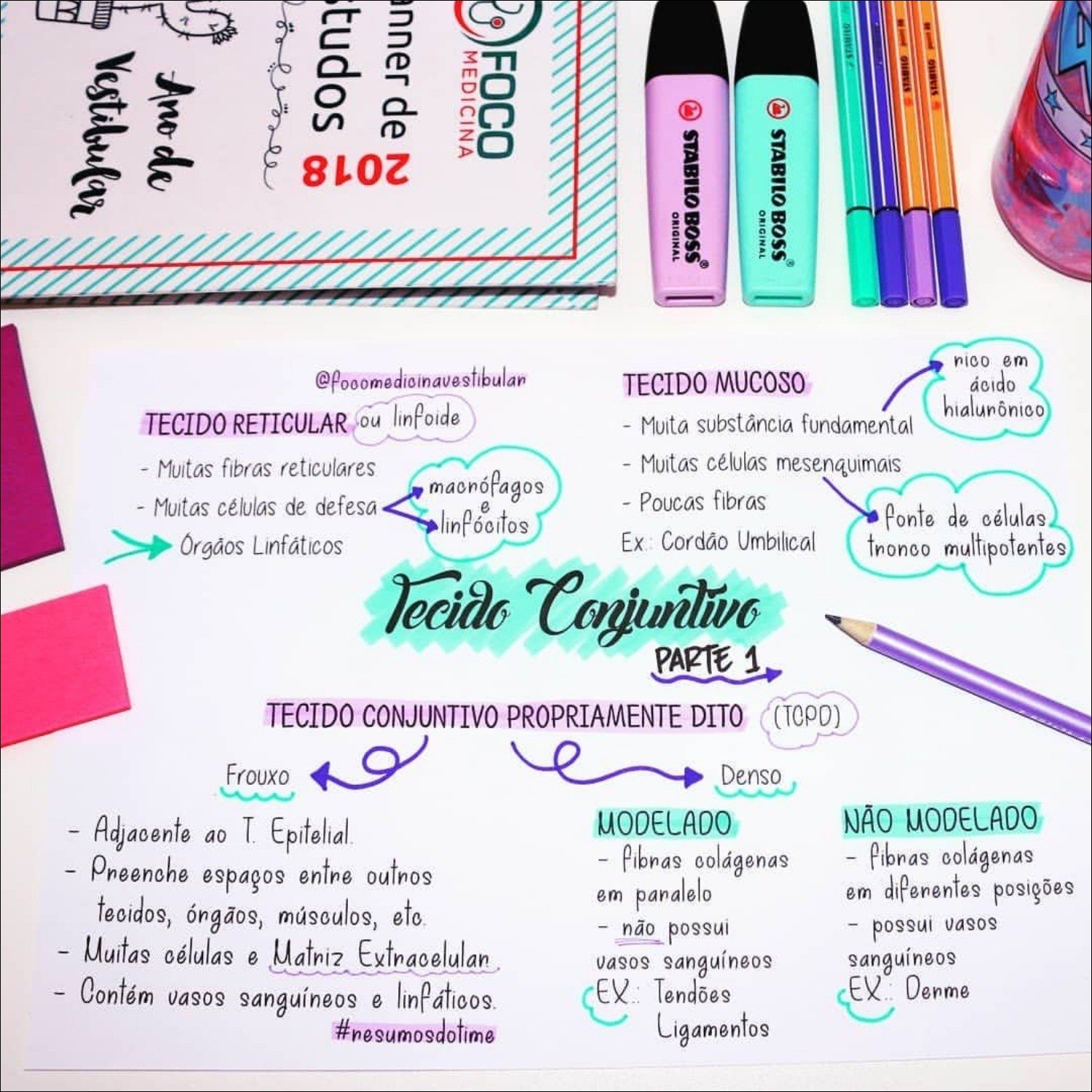 Mapa mental com TECIDO CONJUNTIVO PROPRIAMENTE DITO no centro, ramificando-se para Frouxo e Denso