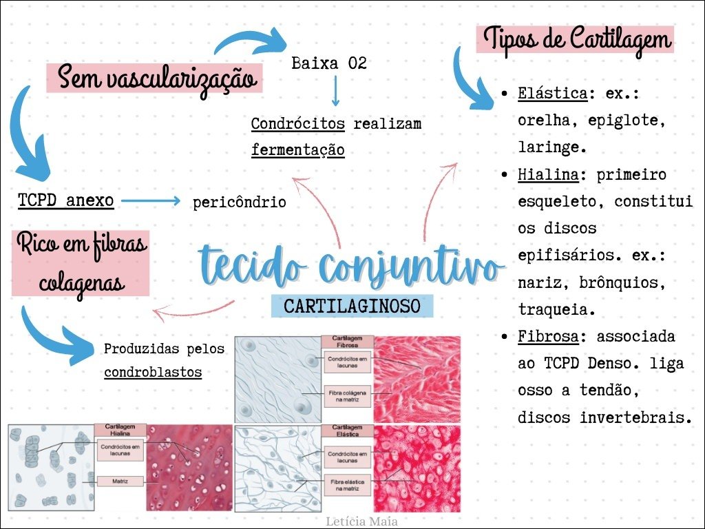 Mapa mental com a palavra Cartilagem no centro, ramificando-se para os tipos de cartilagem Hialina, Elástica e Fibrosa