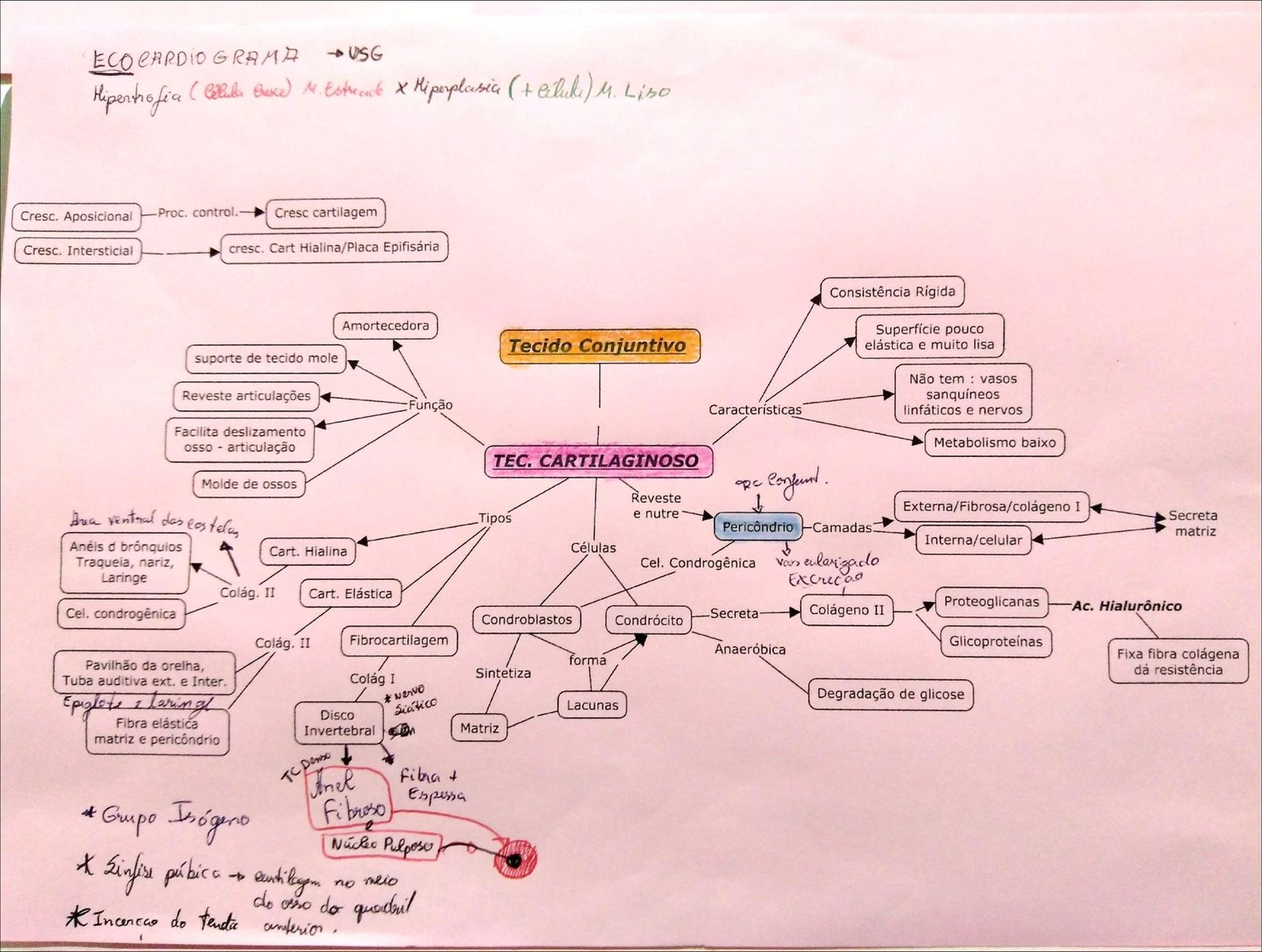 Mapa mental com TEC. CARTILAGINOSO no centro, ramificando-se para Cresciment Cartilagem e Processo de Controle