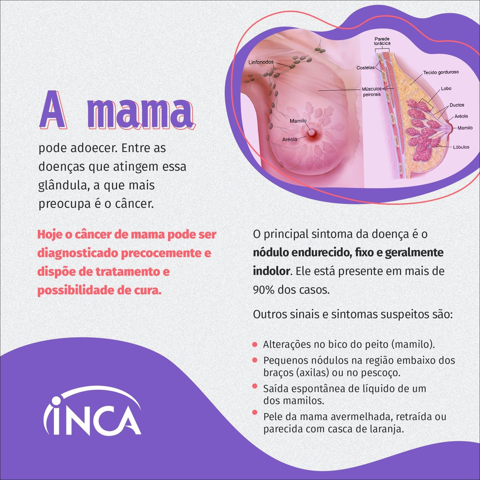 Mapa mental com Mama no centro, ramificando-se para Parede e Torácica