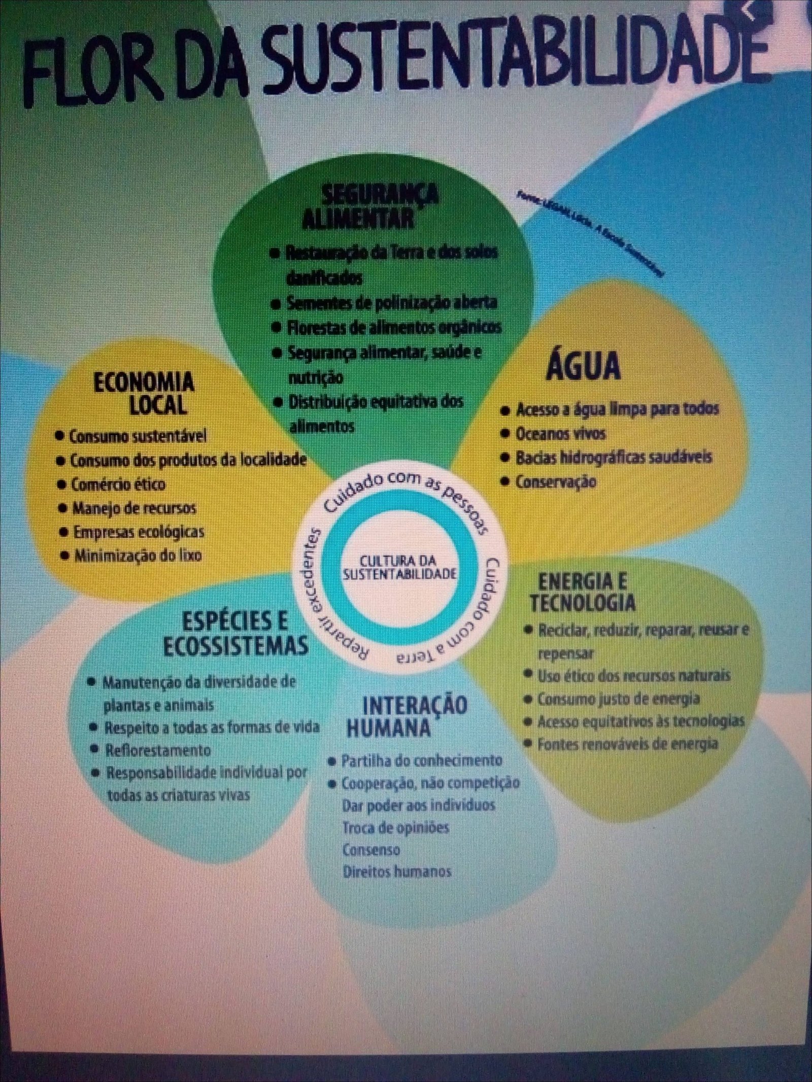 Mapa mental com Flor da Sustentabilidade no centro, ramificando-se para Segurança e Alimentar