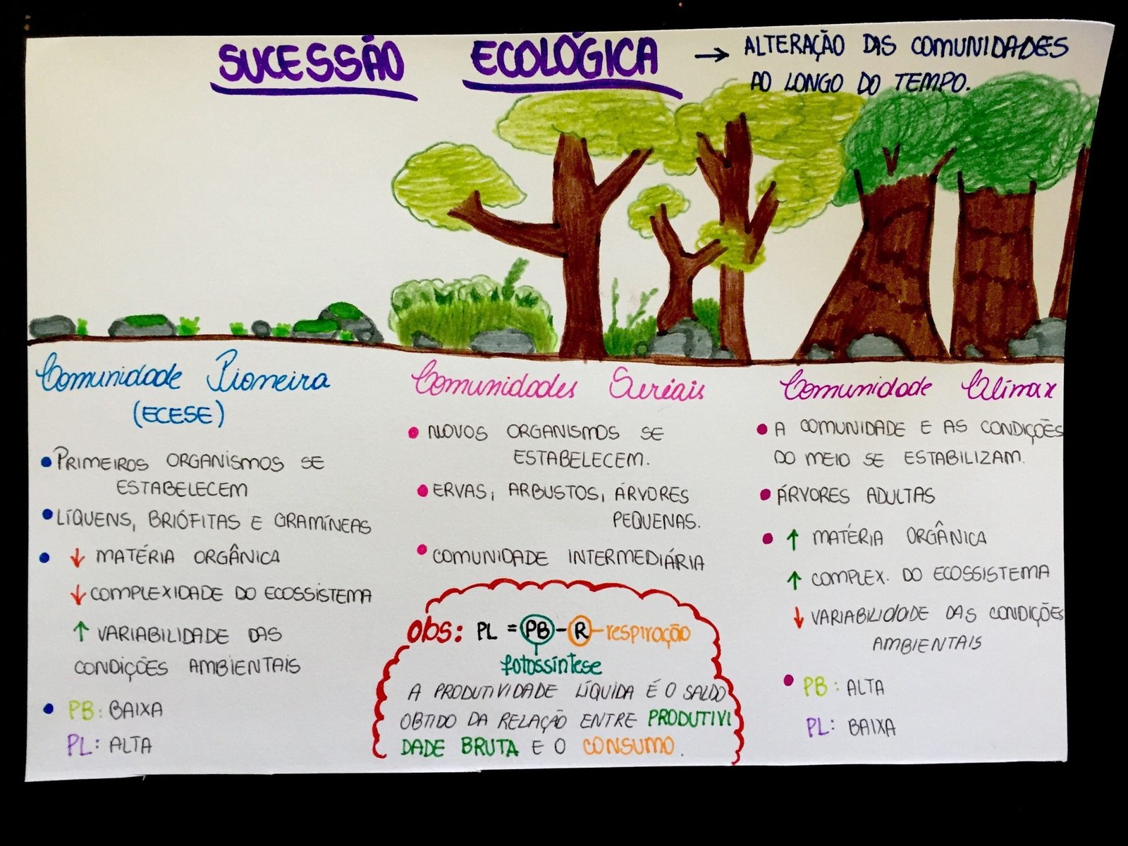 Mapa mental com ALTERAÇÃO DIS COMUNIDADES no centro, ramificando-se para ECOLÓGICA e SUCESSÃO