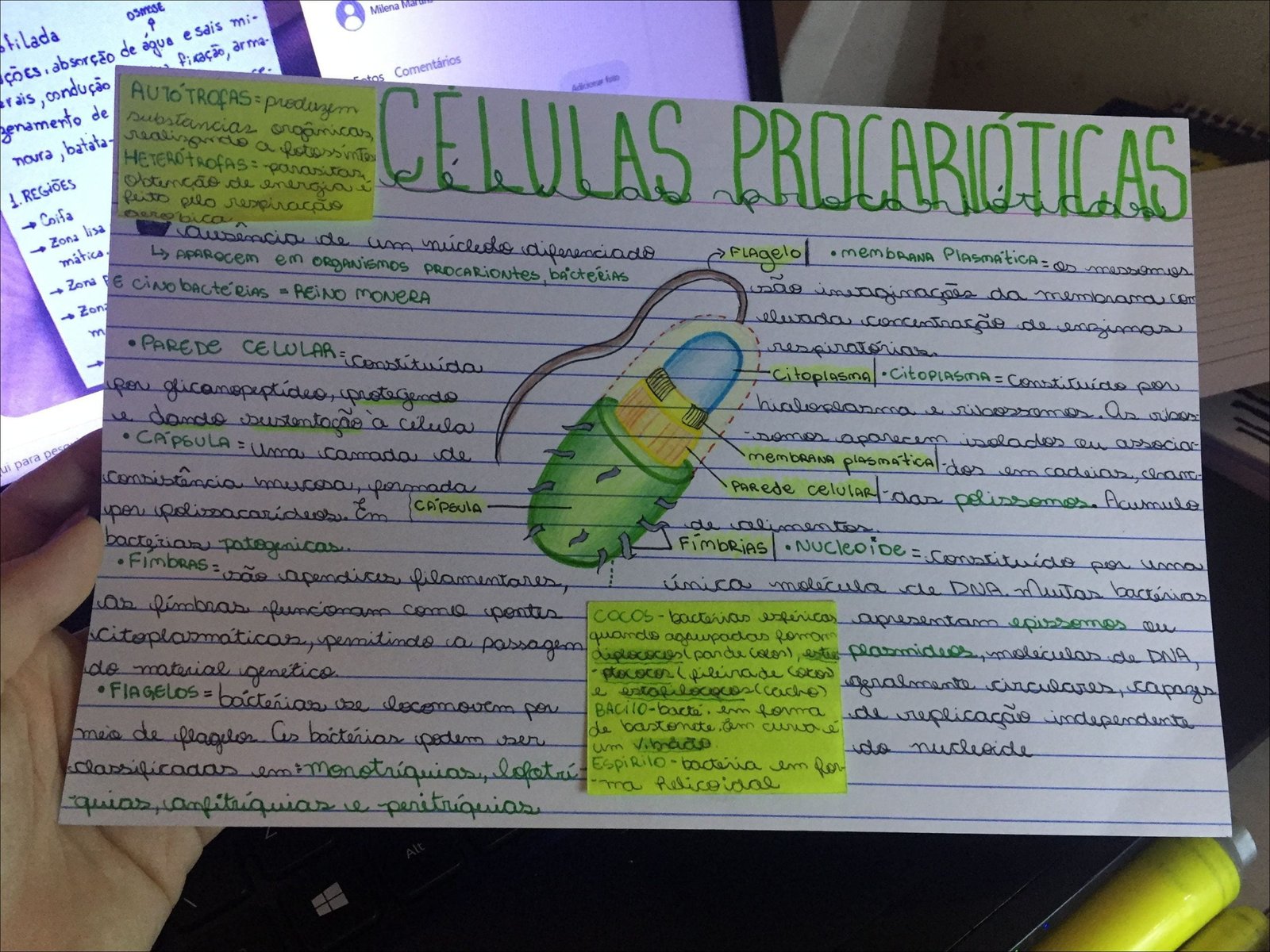 Mapa mental com OSMOSE no centro, ramificando-se para filada e fixação de arma.</p>