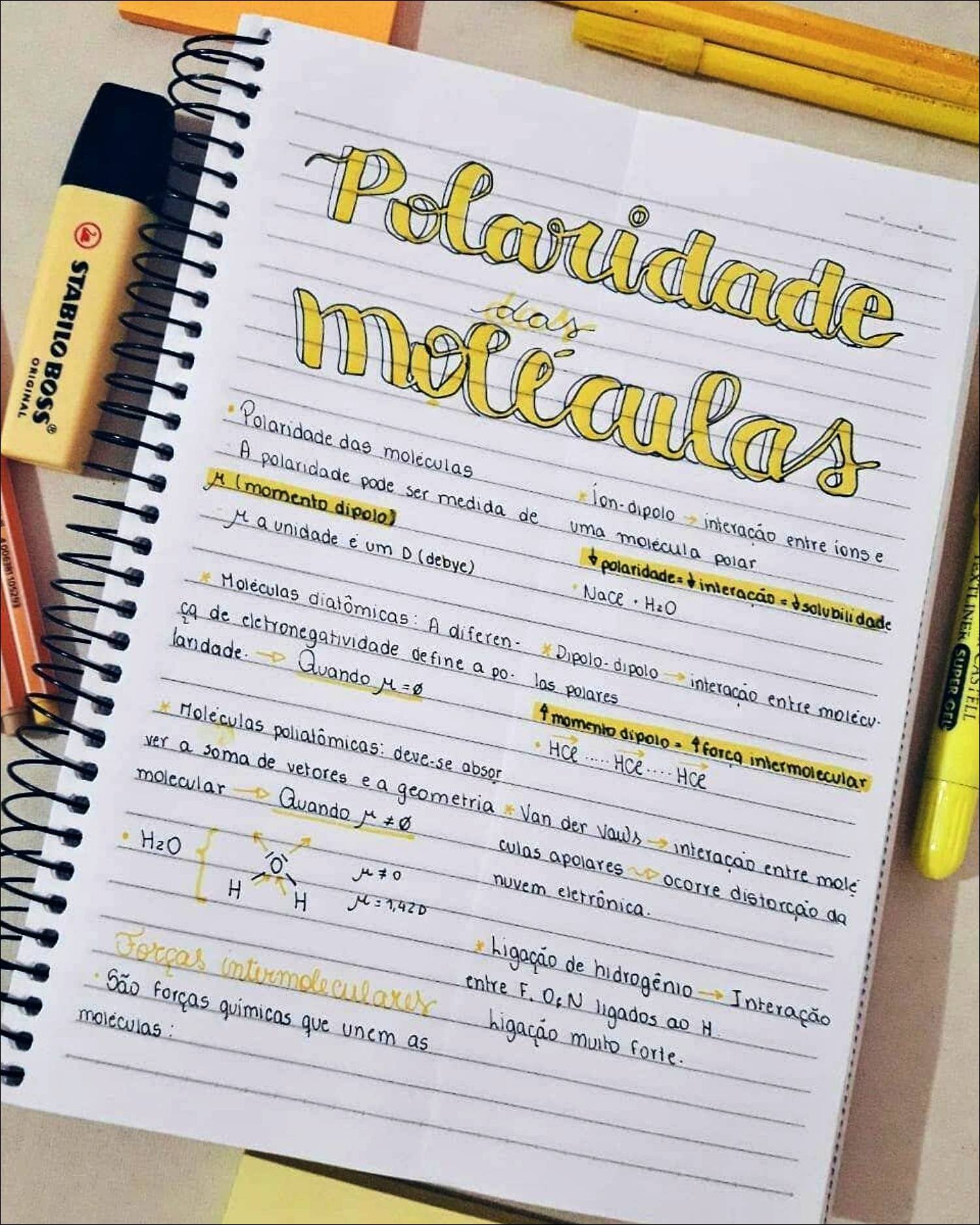 Mapa mental com Polaridade no centro, ramificando-se para Motéculas e TLINER
