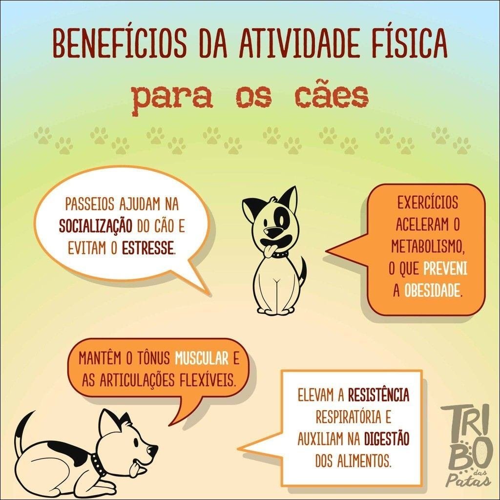 Mapa mental com Benefícios da Atividade Física no centro, ramificando-se para Cães e Exercícios