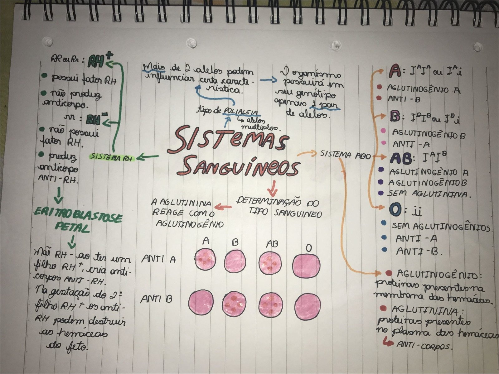 Mapa mental com TIPO SANGUINEO no centro, ramificando-se para SISTEMA ABO e SISTEMA RH