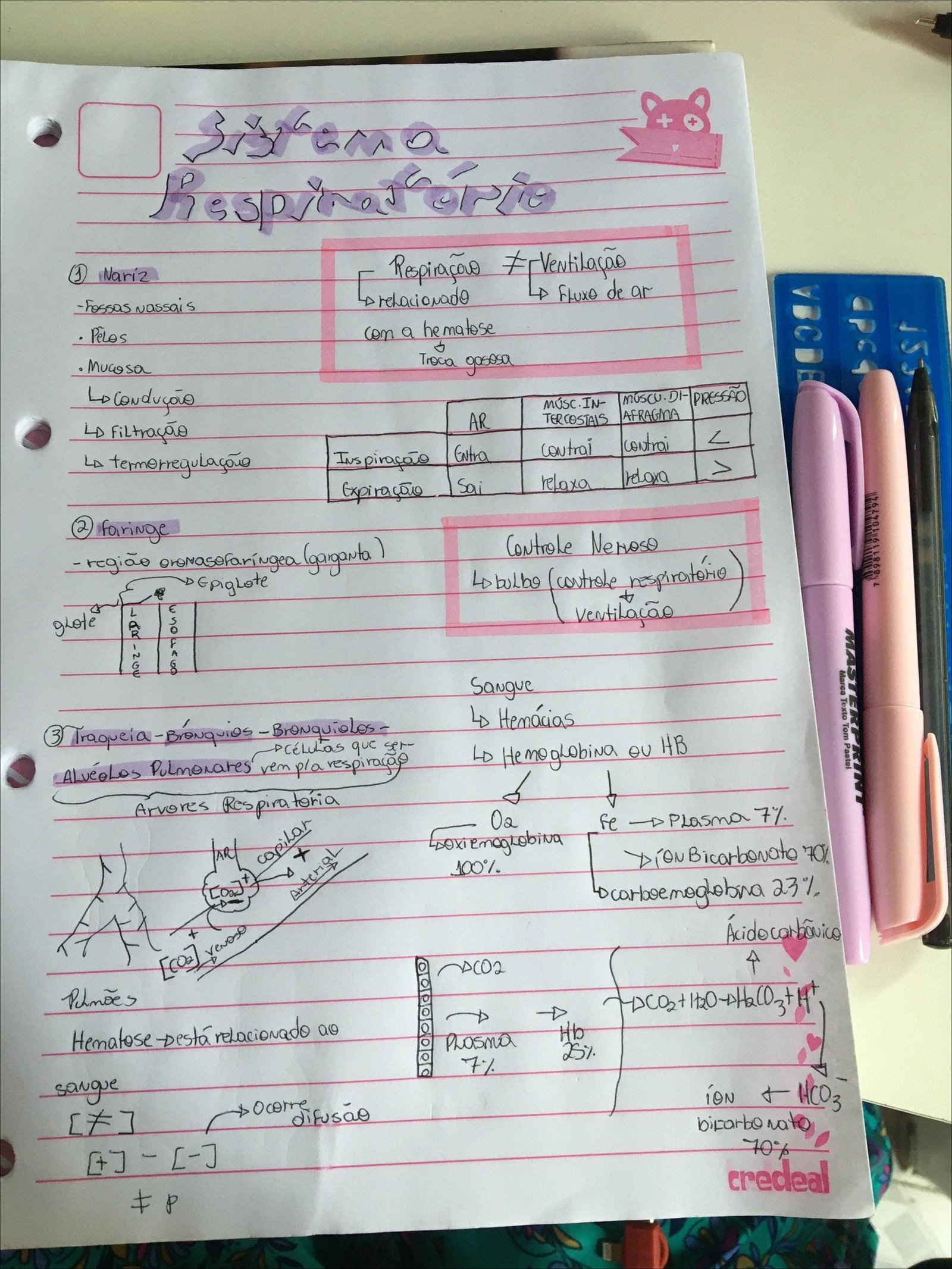 Respiração e sistema respiratório