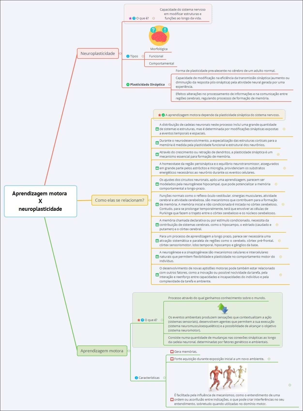 Mapa mental com Capacidade do sistema nervoso no centro, ramificando-se para Neuroplasticidade e Plasticidade Sináptica