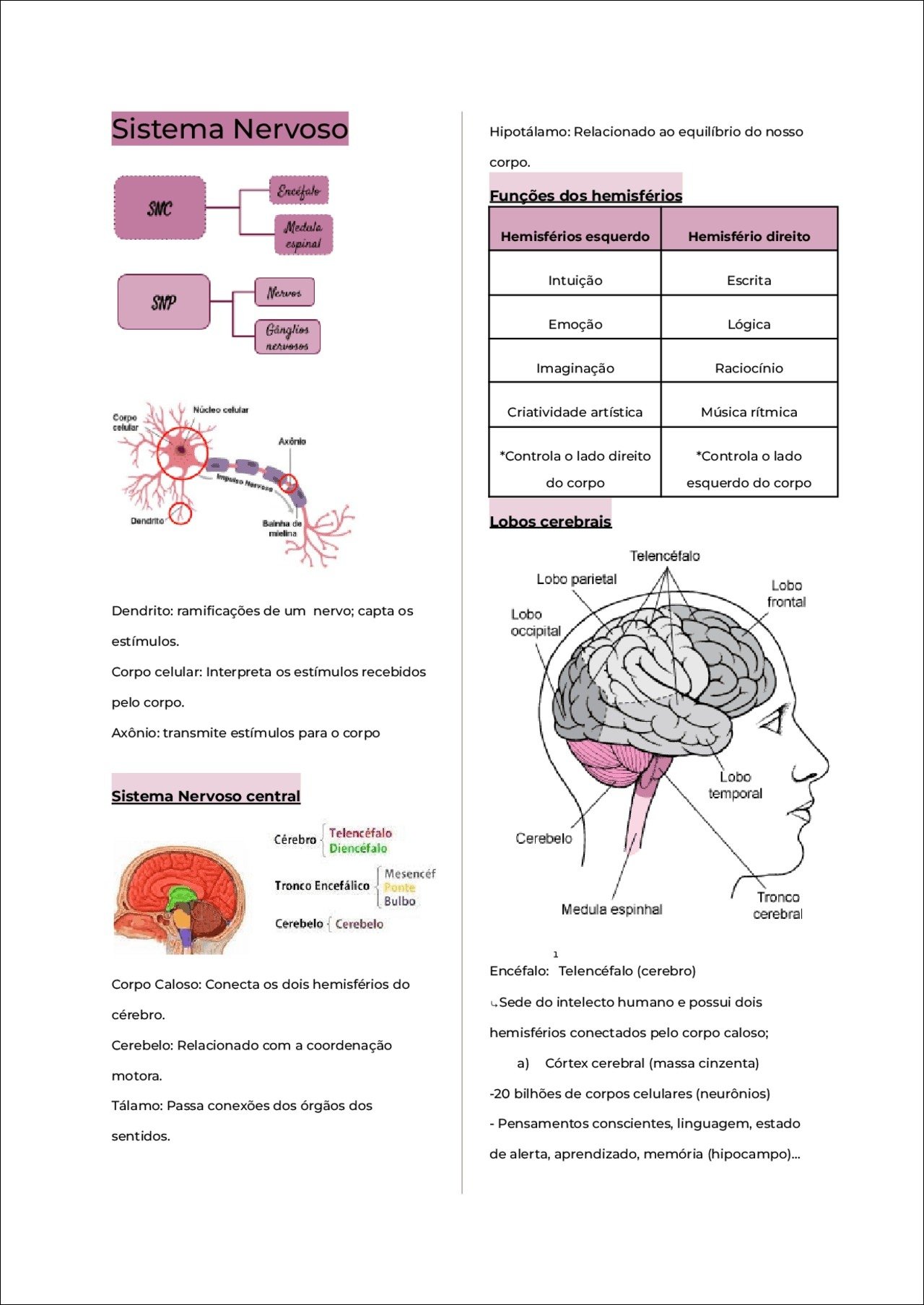 Mapa mental com Sistema Nervoso no centro, ramificando-se para Tronco Encefálico e Encéfalo