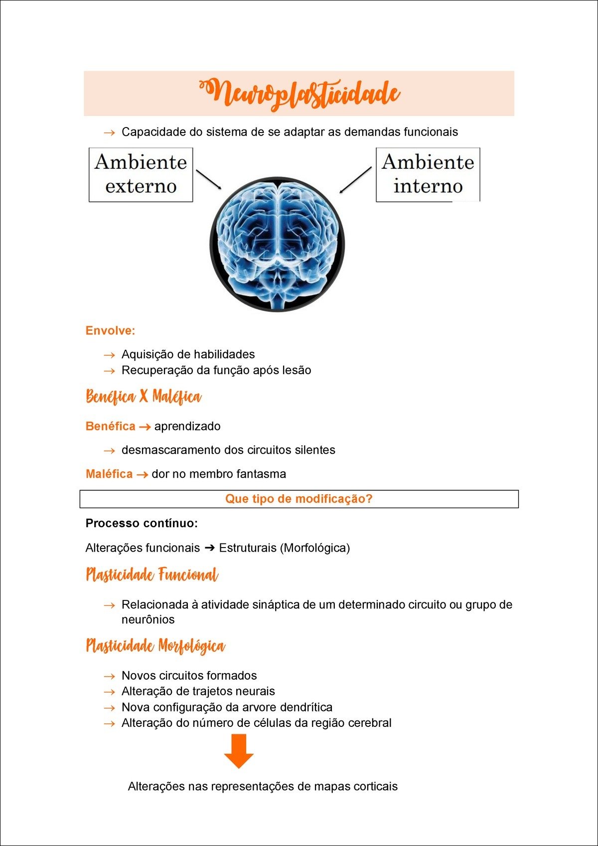 Mapa mental com Neuroplasticidade no centro, ramificando-se para Capacidade do sistema de se adaptar as demandas funcionais e Ambiente