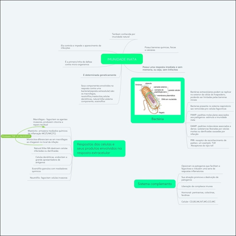 Mapas Mentais Sobre IMUNIDADE INATA - Study Maps