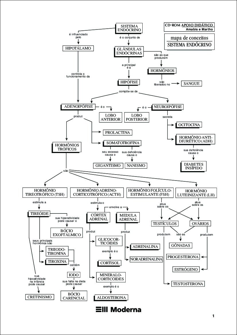 Sistema Endócrino e Hormônios
