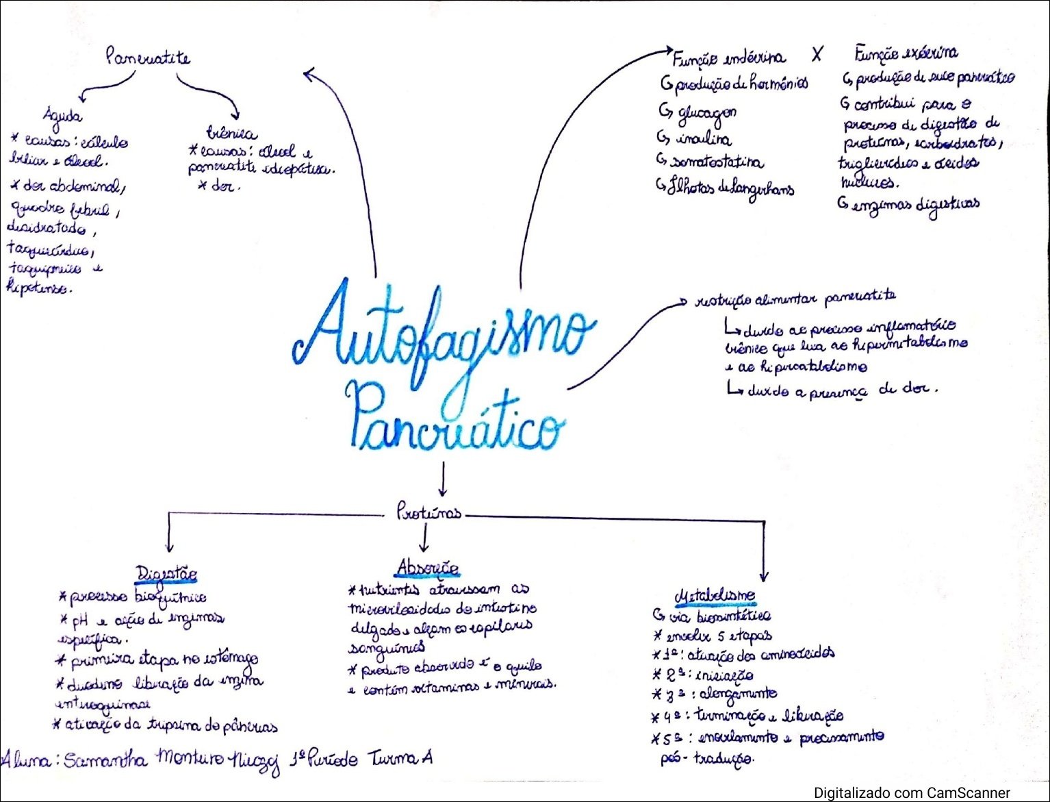 Mapa mental com Paneratite no centro, ramificando-se para Funçãe exéerina e Funcie endérrina