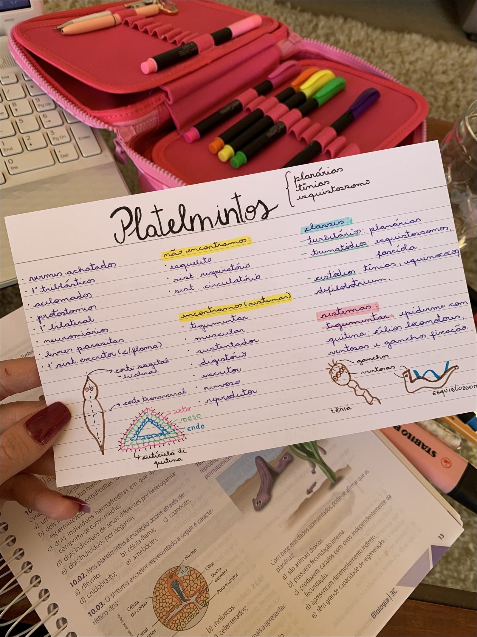 O mapa mental trata dos platelmintos e seus sistemas