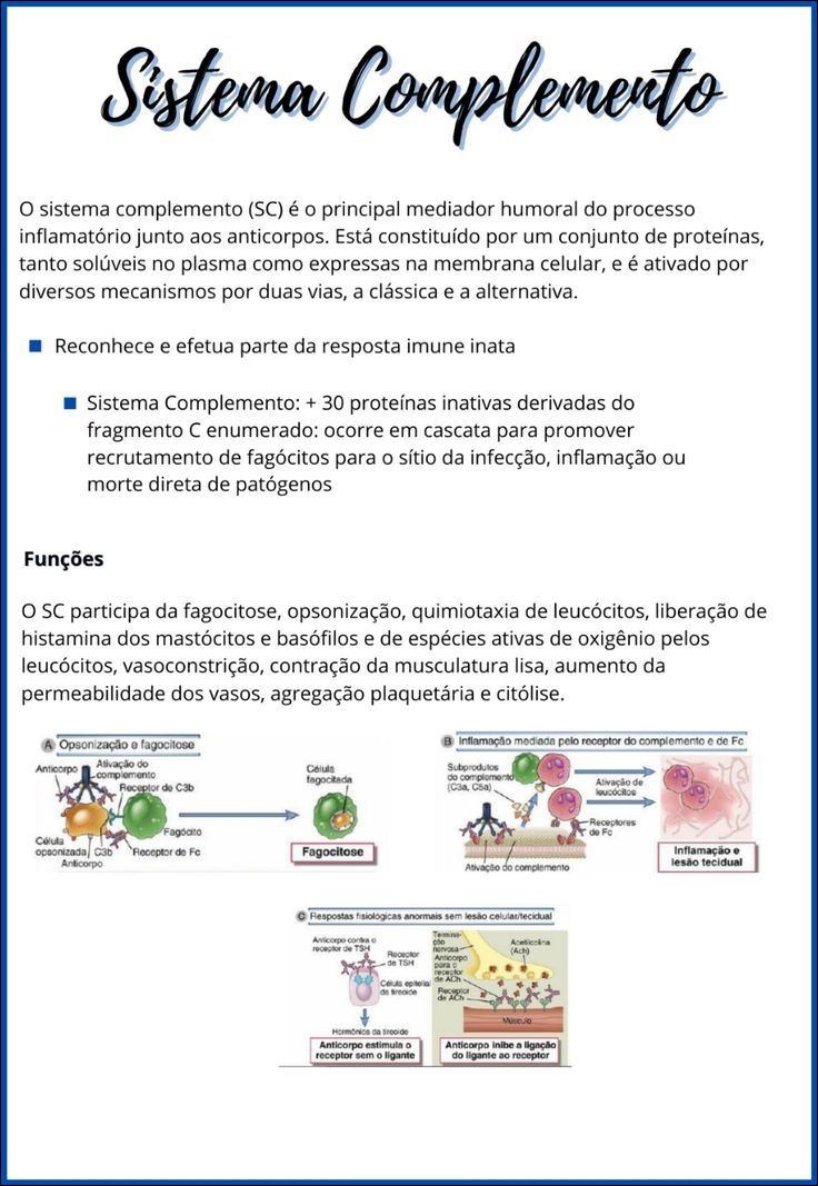 Mapas Mentais Sobre Sistema Complemento Study Maps