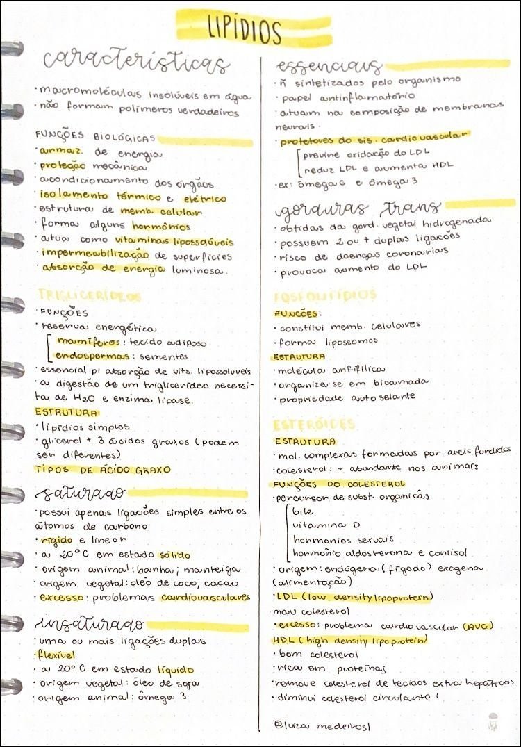 Mapa mental com Lipídios no centro, ramificando-se para caracteristicas e essencias