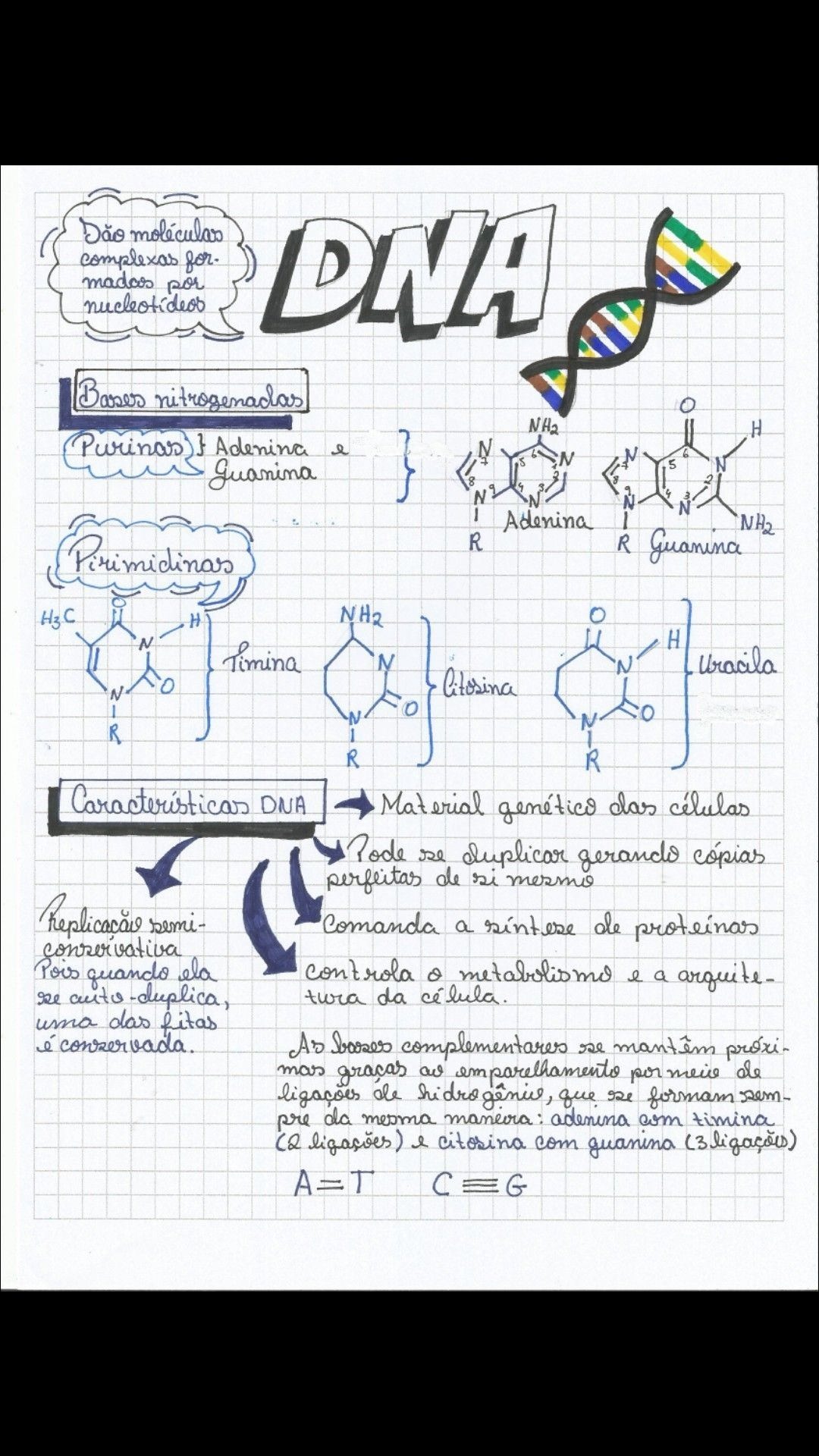 Mapas Mentais sobre DUPLICAÇÃO DO DNA - Study Maps  Duplicação do dna,  Replicação do dna, Transcrição e tradução