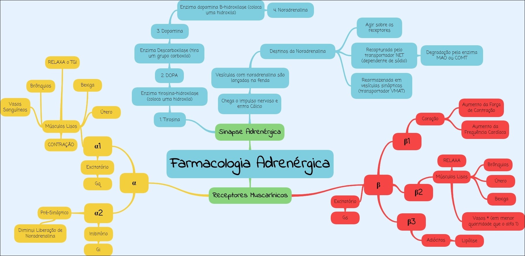 Farmacologia adrenérgica - Farmacologia I