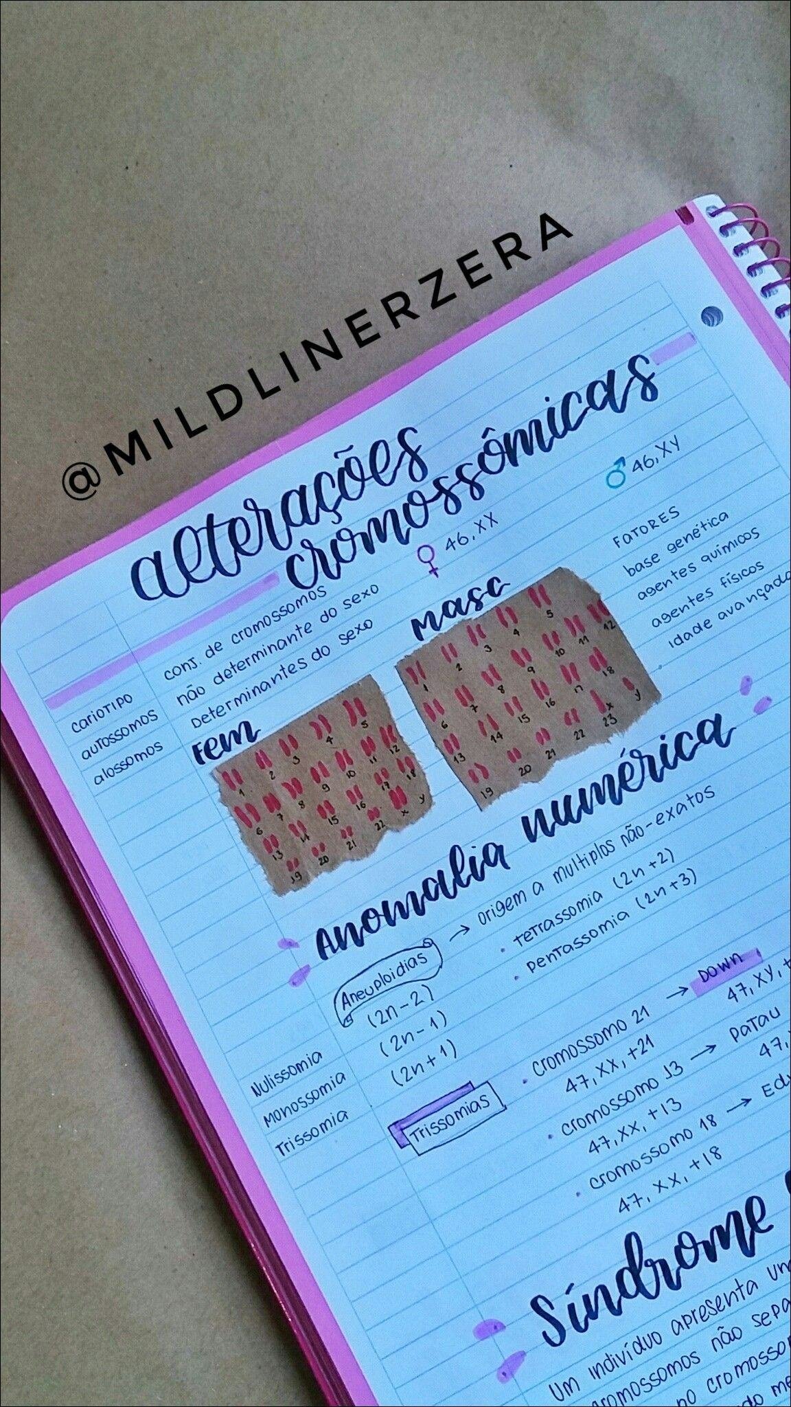 Anomalias Cromossômicas em Humanos