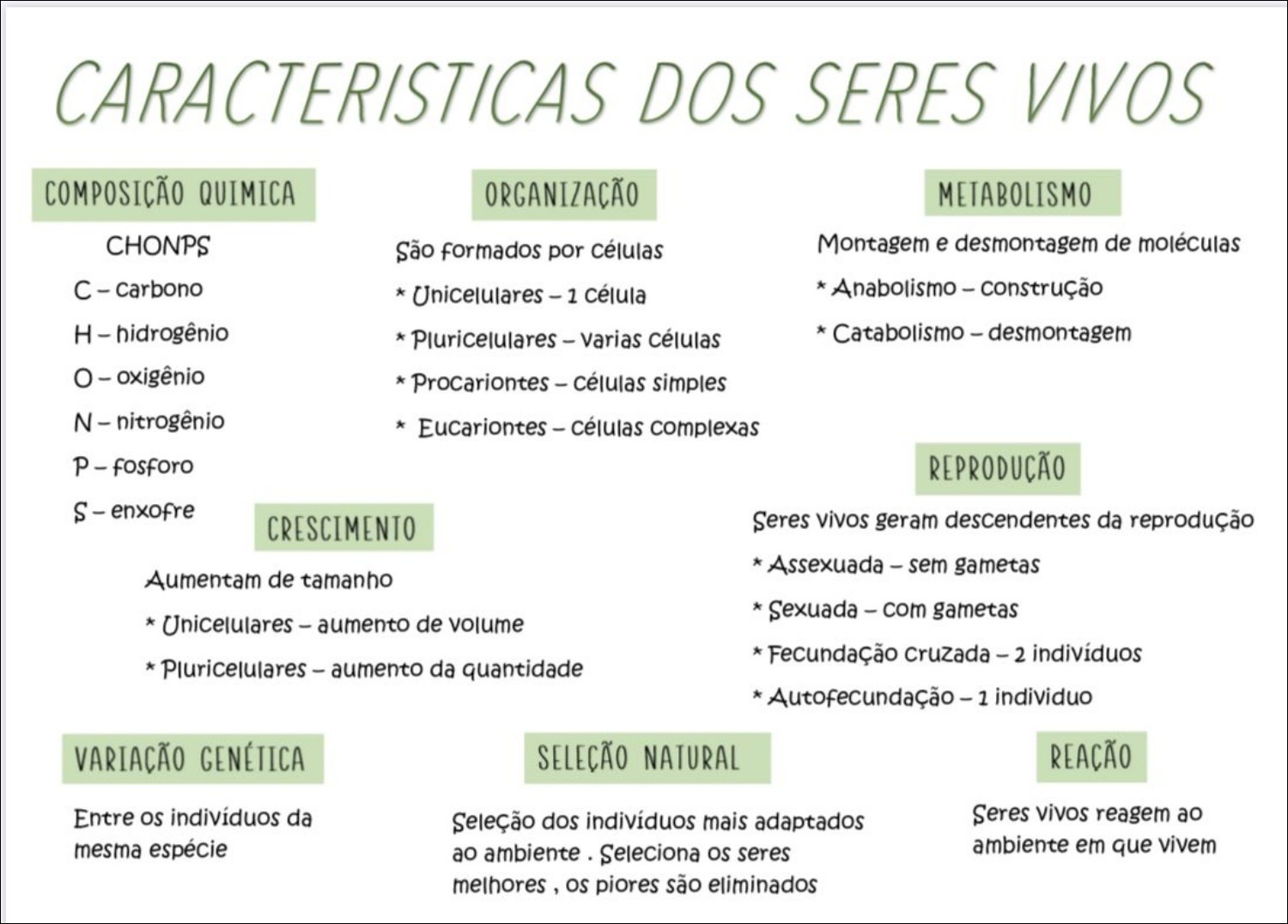 Mapas Mentais Sobre Caracter Sticas Dos Seres Vivos Study Maps