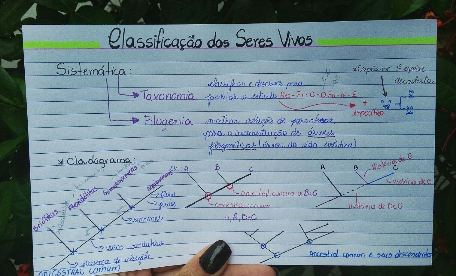 Mapa mental com Classificação dos Seres Vivos no centro, ramificando-se para Sistemática e Especime 1a espécie