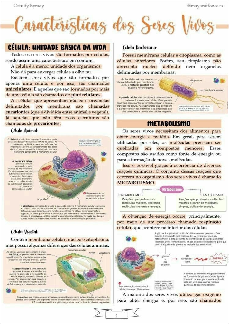 Mapa mental com Caracteristicas dog Seres Vivos no centro, ramificando-se para CÉLULA UNIDADE BÁSICA DA VIDA e Célula Bacteriana
