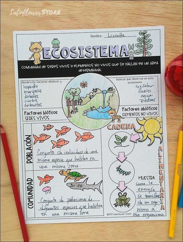 Mapa mental com ECOSISTEMA no centro, ramificando-se para Nombra los factores abióticos y bioticos que observas en este, leopardo, ecosistema, luz solar, mariposa