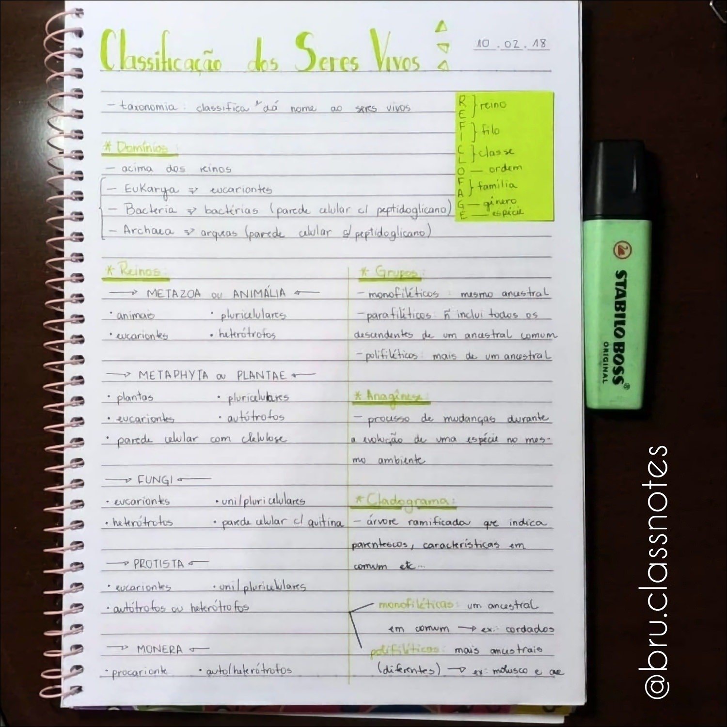 Mapa mental com Classificação dos Seres Vivos no centro, ramificando-se para reino e taxonomia classifica name